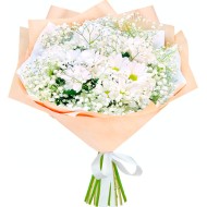 Прованс Прованс